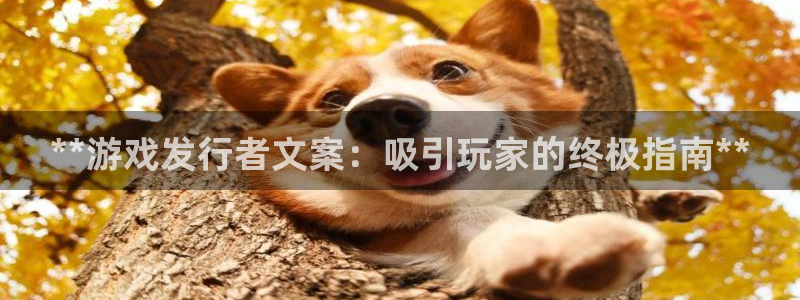 蓝狮在线注册平台登录不了：**游戏发行者文案：吸引玩家的终极指南**